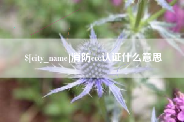 南平消防ccc认证什么意思
