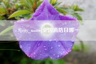 南平全国消防日哪一