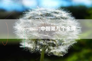 南平中国第九个金牌