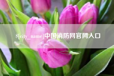 南平中国消防网官网入口