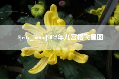 南平2022年九宫格飞星图