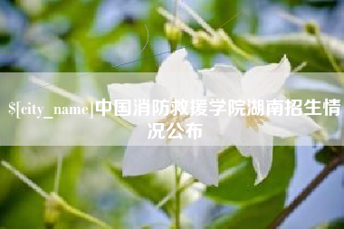 南平中国消防救援学院湖南招生情况公布