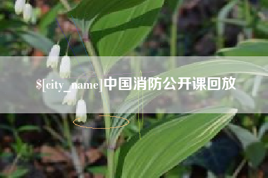 南平中国消防公开课回放