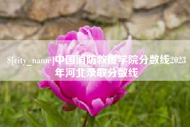 南平中国消防救援学院分数线2023年河北录取分数线