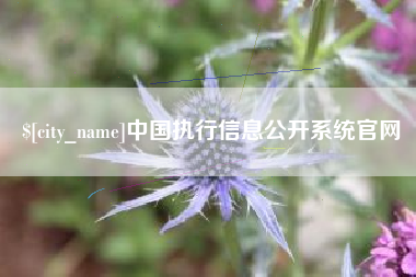 南平中国执行信息公开系统官网