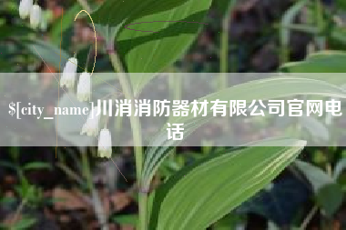 南平川消消防器材有限公司官网电话