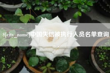 南平中国失信被执行人员名单查询