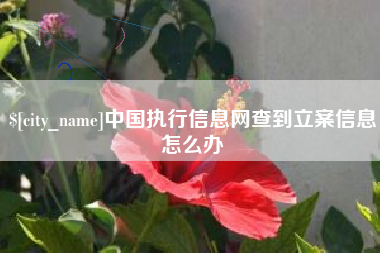 南平中国执行信息网查到立案信息怎么办