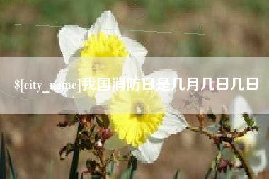 南平我国消防日是几月几日几日