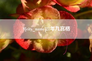 南平21年九宫格