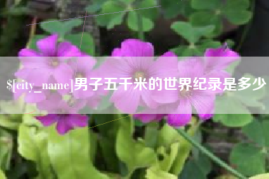 南平男子五千米的世界纪录是多少
