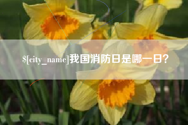 南平我国消防日是哪一日？