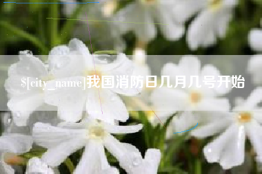 南平我国消防日几月几号开始
