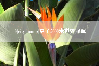 南平男子5000米世界冠军