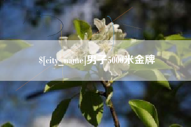 南平男子5000米金牌