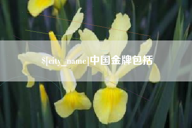 南平中国金牌包括