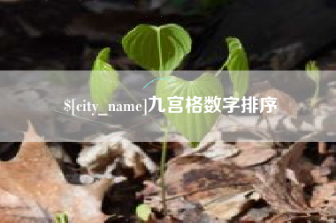 南平九宫格数字排序