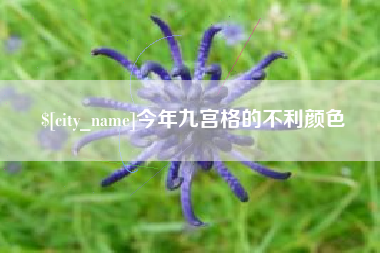南平今年九宫格的不利颜色