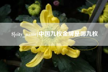 南平中国九枚金牌是哪九枚