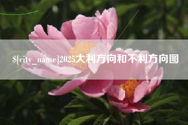 南平2025大利方向和不利方向图