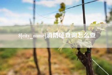 南平消防证查询怎么查