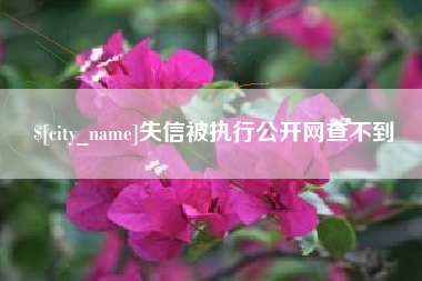 南平失信被执行公开网查不到