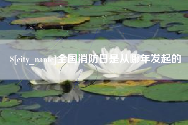 南平全国消防日是从哪年发起的