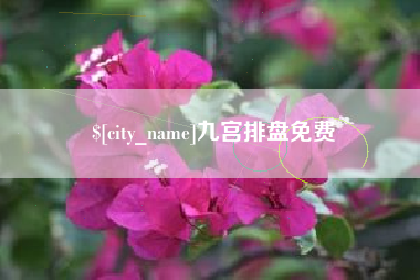 南平九宫排盘免费