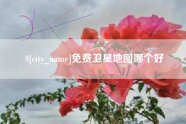 南平免费卫星地图哪个好
