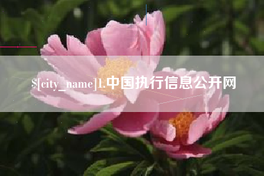 南平1.中国执行信息公开网