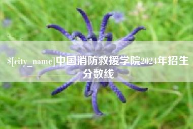 南平中国消防救援学院2024年招生分数线