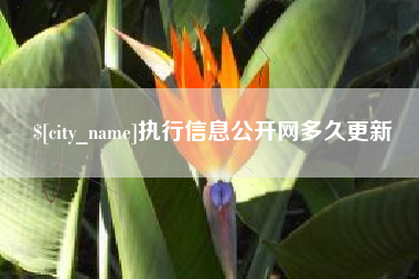 南平执行信息公开网多久更新