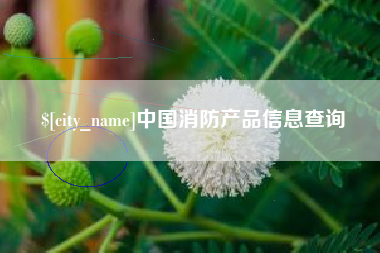 南平中国消防产品信息查询
