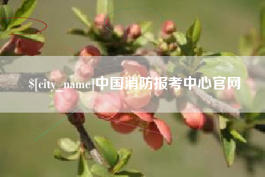 南平中国消防报考中心官网