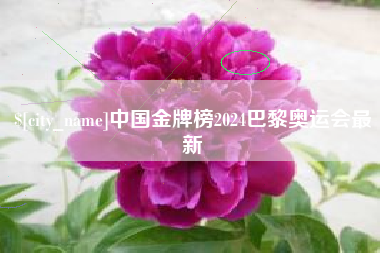 南平中国金牌榜2024巴黎奥运会最新