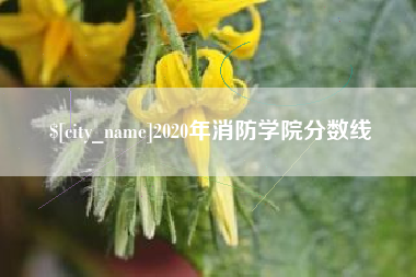 南平2020年消防学院分数线