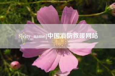 南平中国消防救援网站