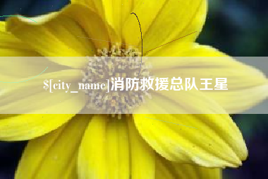南平消防救援总队王星
