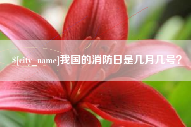 南平我国的消防日是几月几号？