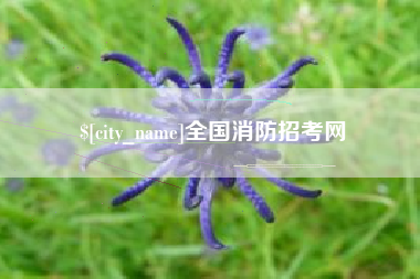 南平全国消防招考网
