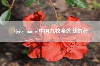 南平中国九枚金牌获得者