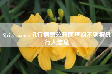 南平执行信息公开网查询不到被执行人信息