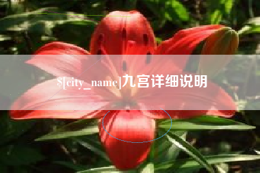 南平九宫详细说明
