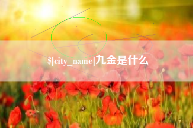 南平九金是什么