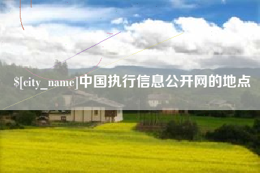 南平中国执行信息公开网的地点