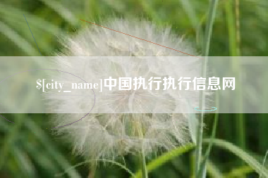 南平中国执行执行信息网