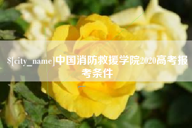 南平中国消防救援学院2020高考报考条件