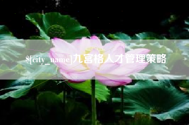 南平九宫格人才管理策略