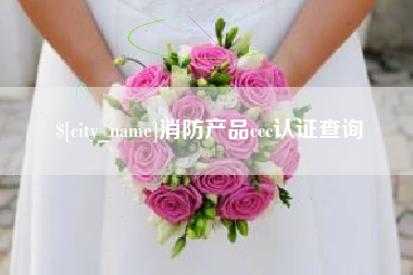南平消防产品ccc认证查询
