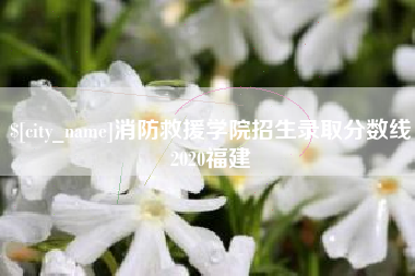 南平消防救援学院招生录取分数线2020福建